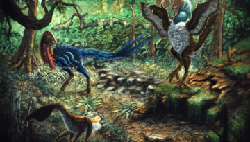 A depiction of the dino species discovered by Kyle Atkins-Weltman nicknamed the "Chicken From Hell".